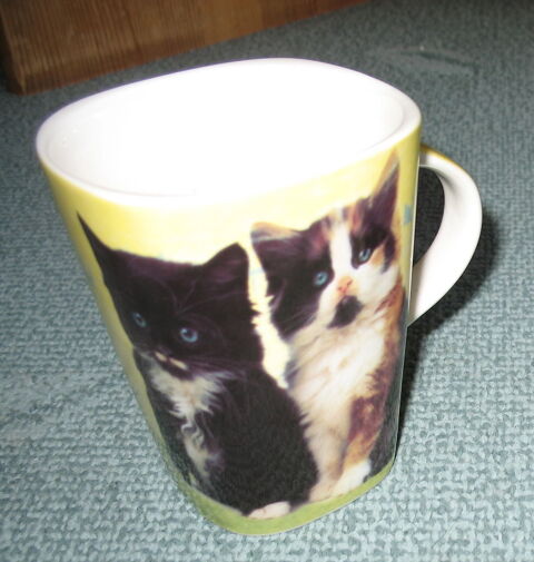 1 mug décor chat 2 Antony (92)