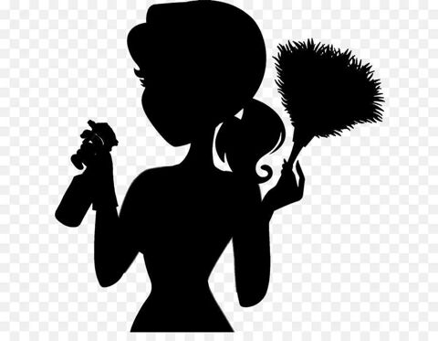 Femme de m&eacute;nage 0 74000 Annecy