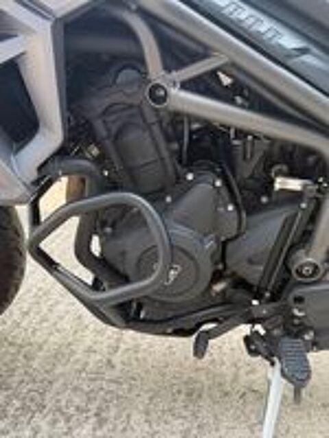 TRIUMPH 2015 occasion 34000 Montpellier