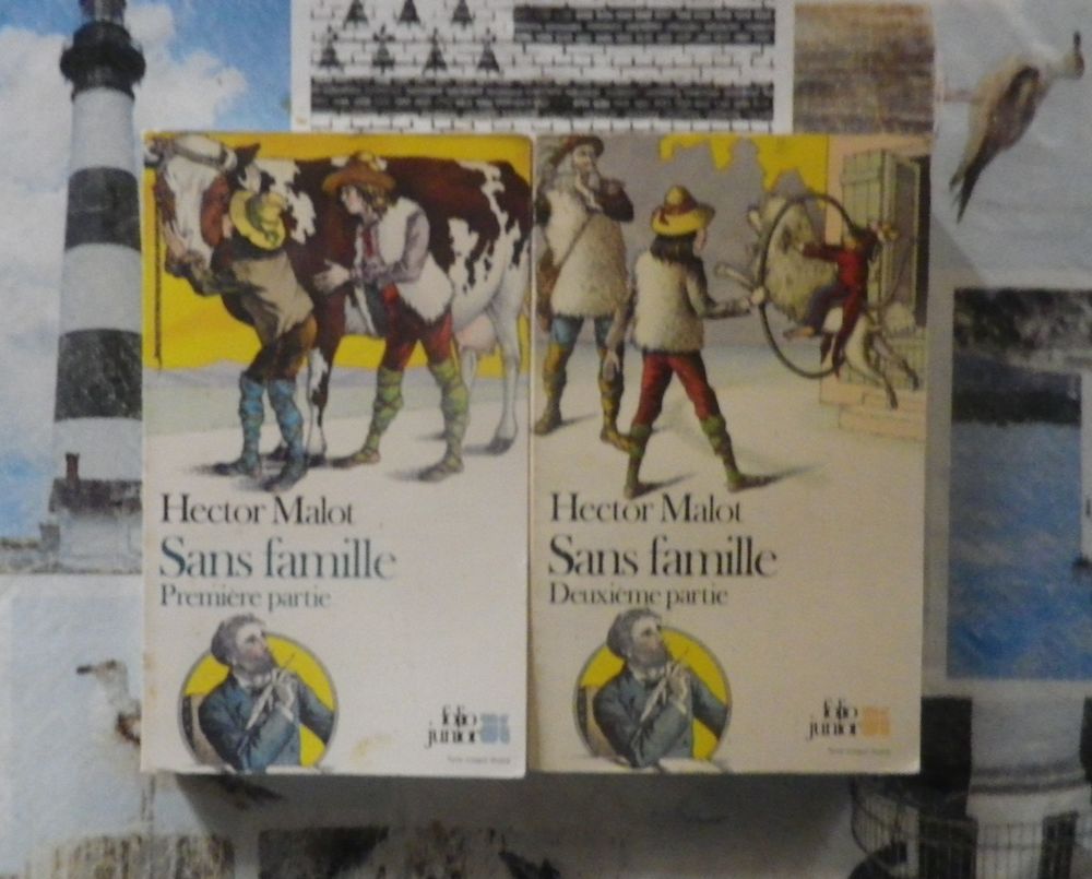 SANS FAMILLE T1&amp;2 d'Hector MALOT Ed. Folio Junior Livres et BD