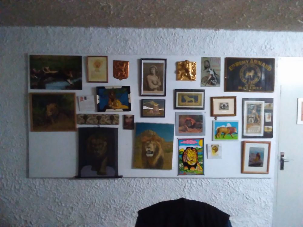 Collection de divers sujets sur le Lion 