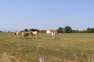  Ferme à vendre 7 pièces 220 m²