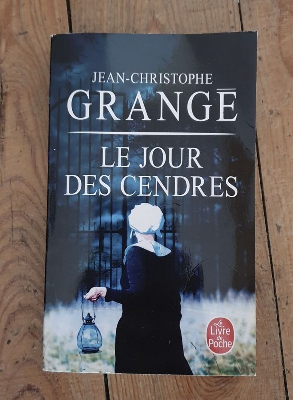Le jour des cendres Livres et BD