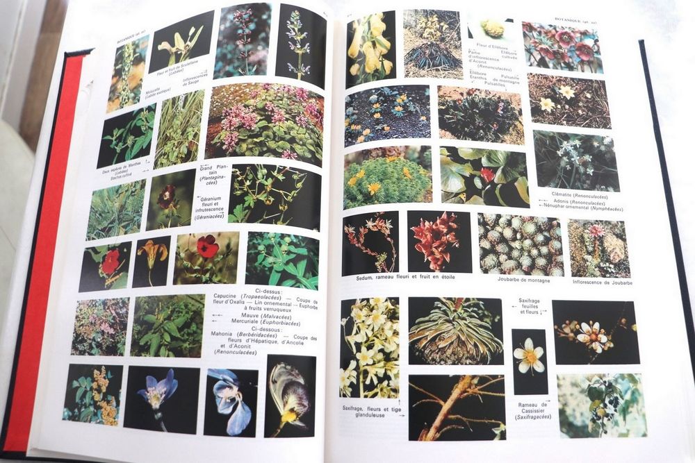 Dictionnaires encyclop&eacute;diques QUILLET ann&eacute;e 1977 Livres et BD