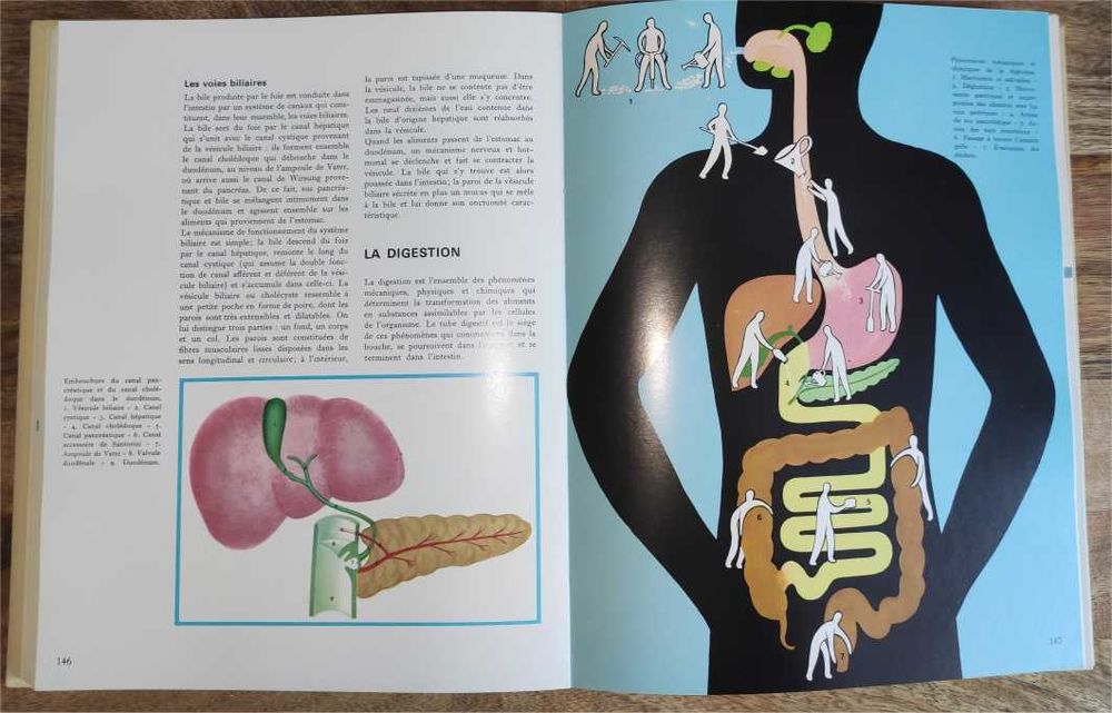 Encyclop&eacute;die M&eacute;dicale de la Famille Vol. 1 Lidis Livres et BD