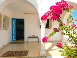  Maison à vendre 14 pièces 305 m² Djerba