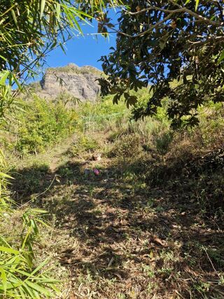  Terrain � vendre 1735 m� Cilaos