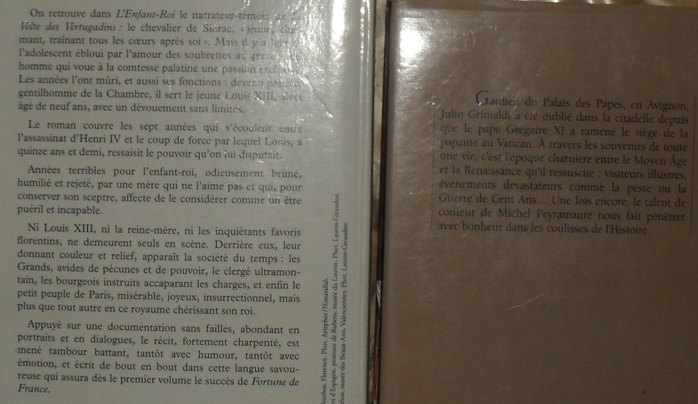  3 livres d'Hist Charles 7, L'Enfant-Roi, La Tour des Anges Livres et BD