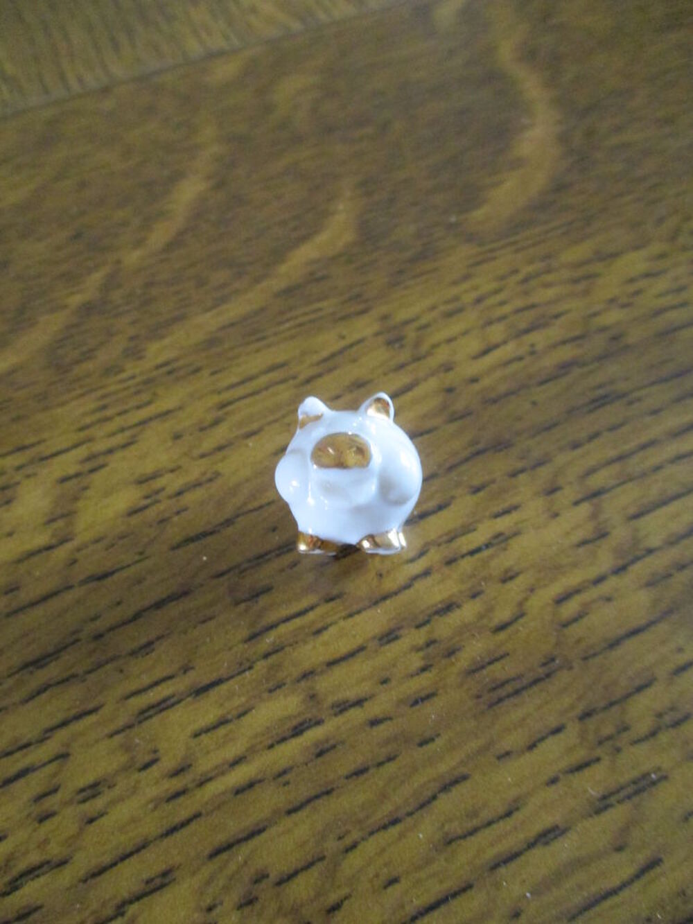 f&egrave;ve petit cochon 