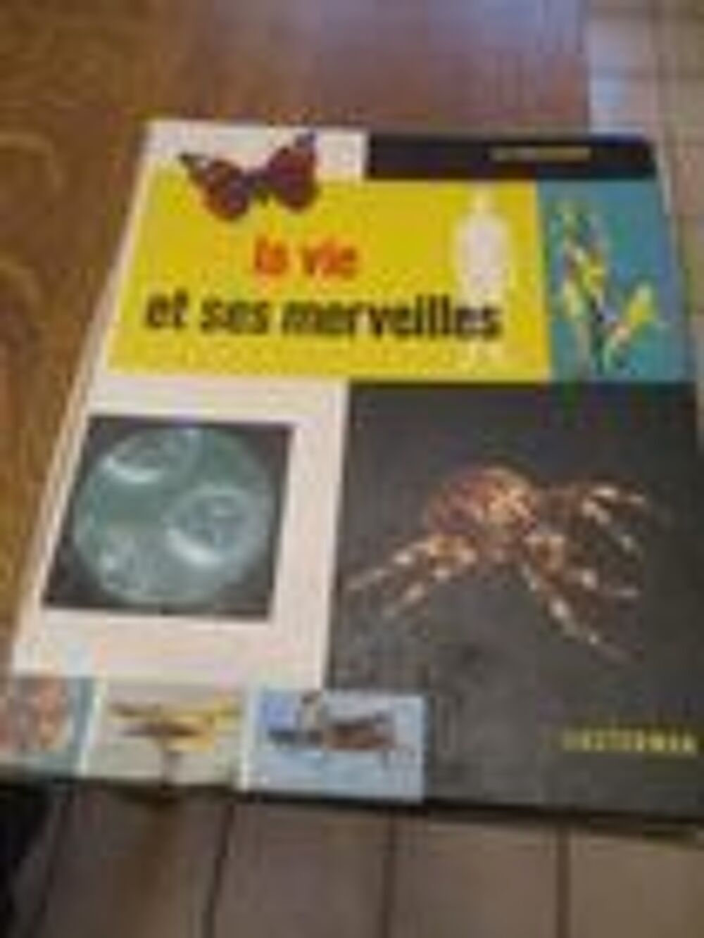 La vie et ses merveilles 