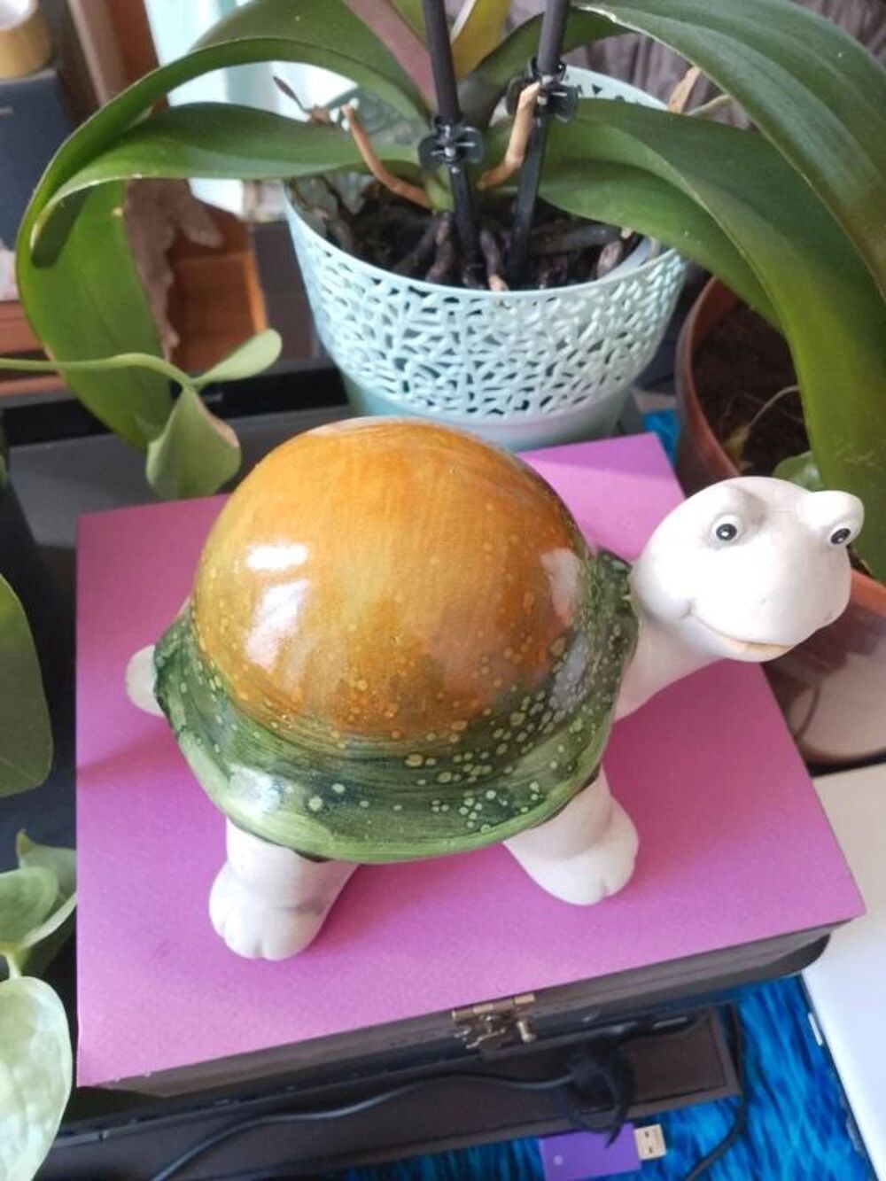 Tortue en c&eacute;ramique maison jardin Décoration