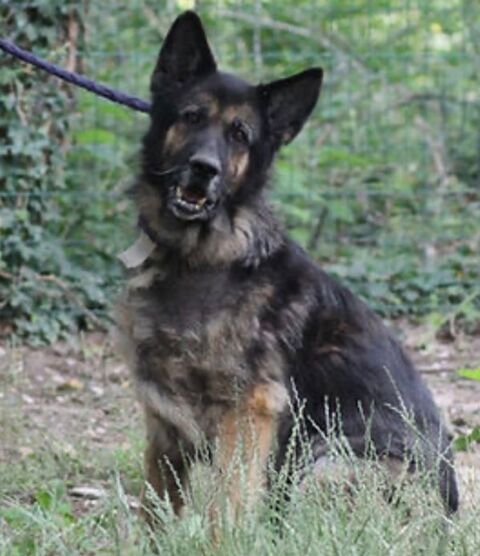 Sam 50 26700 Pierrelatte