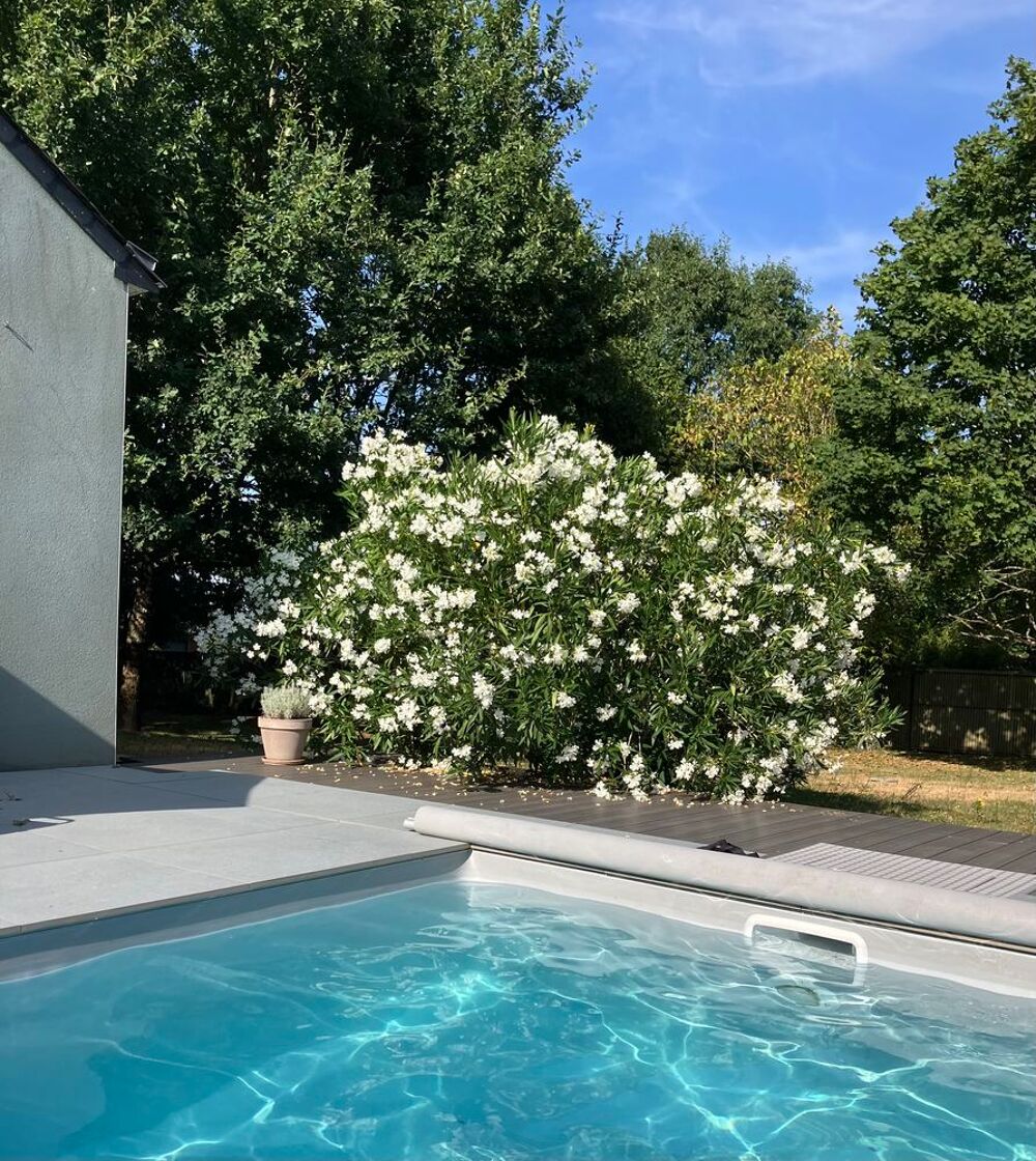 Maison 4 pièces 143 m² · à Sainte-Marie · 143 m² · 350 000 €