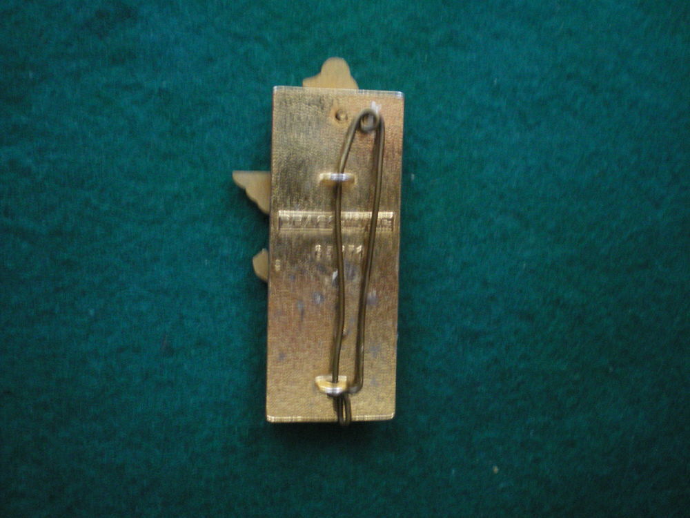 Insigne de Sant&eacute; - Ecole Nationale Officiers de Sant&eacute;. 