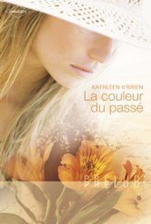 La couleur du passé 1 Ormes (45)