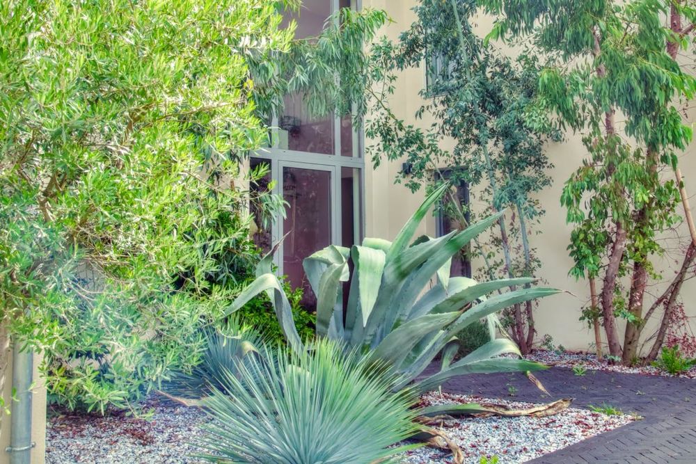 � vendre  Maison Cormontreuil (51350)