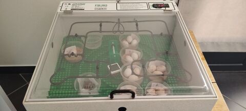 Incubateur Jaeger FB80 pour Reptile. 200 24470 Saint-pardoux-la-rivière