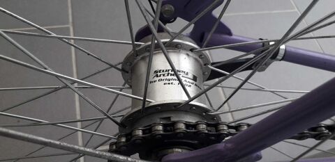 v�lo homme 120 Ernestviller (57)