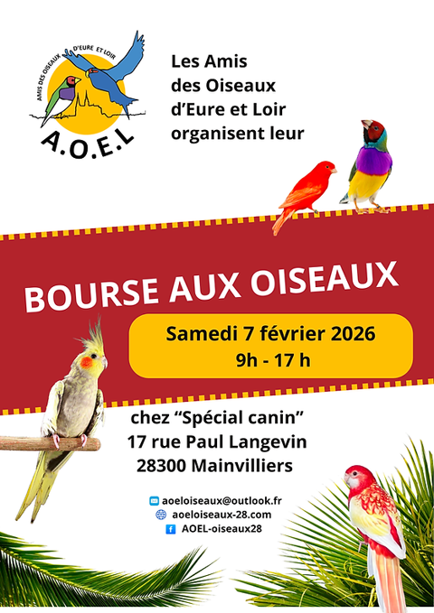 Bourse aux oiseaux 50 28300 Mainvilliers
