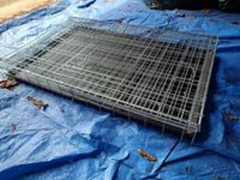   Cage de transport pour chien avec 2 portes 115 x 77 x 75 cm 