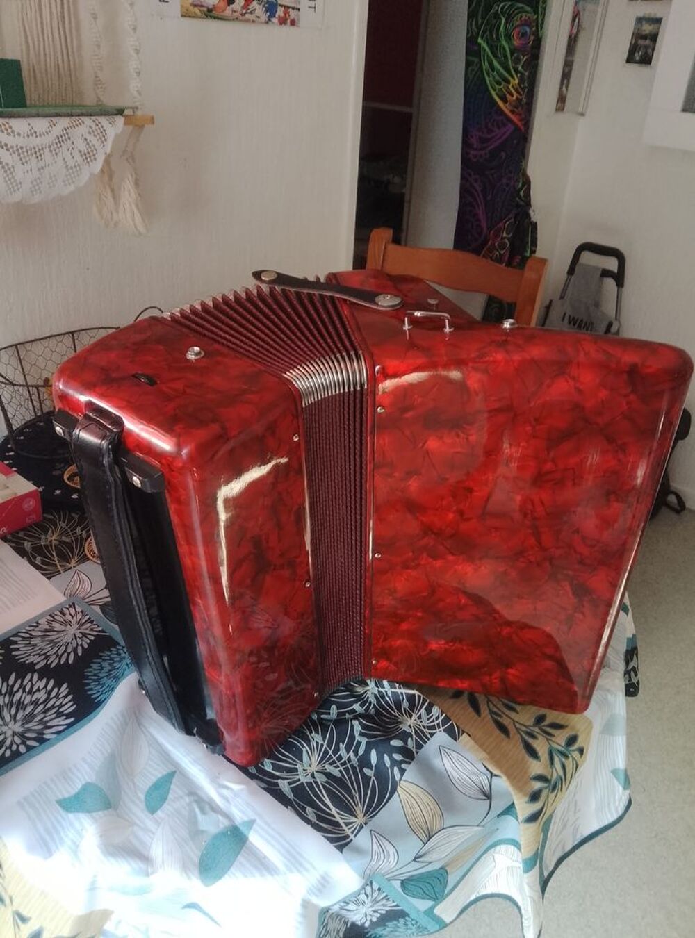 Accordeon Startone rouge Instruments de musique