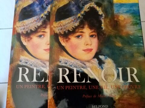 Renoir / Belfond 30 Eaubonne (95)