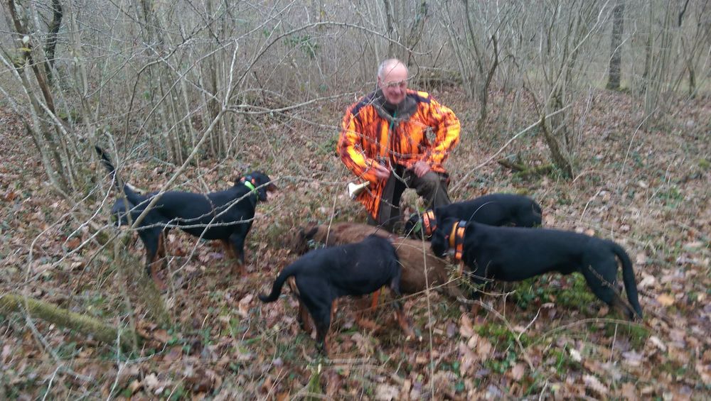 action chasse grand gibier Aube Sports