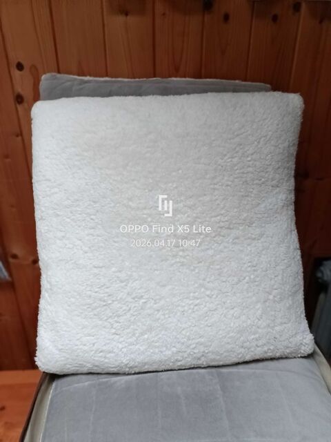 cousin velour gris 25 Le Havre (76)