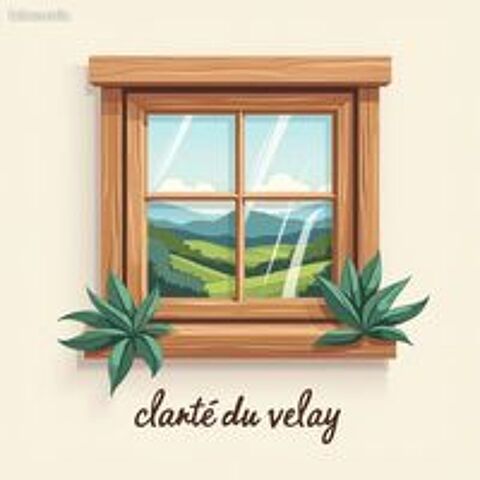   Lavage de vitres 