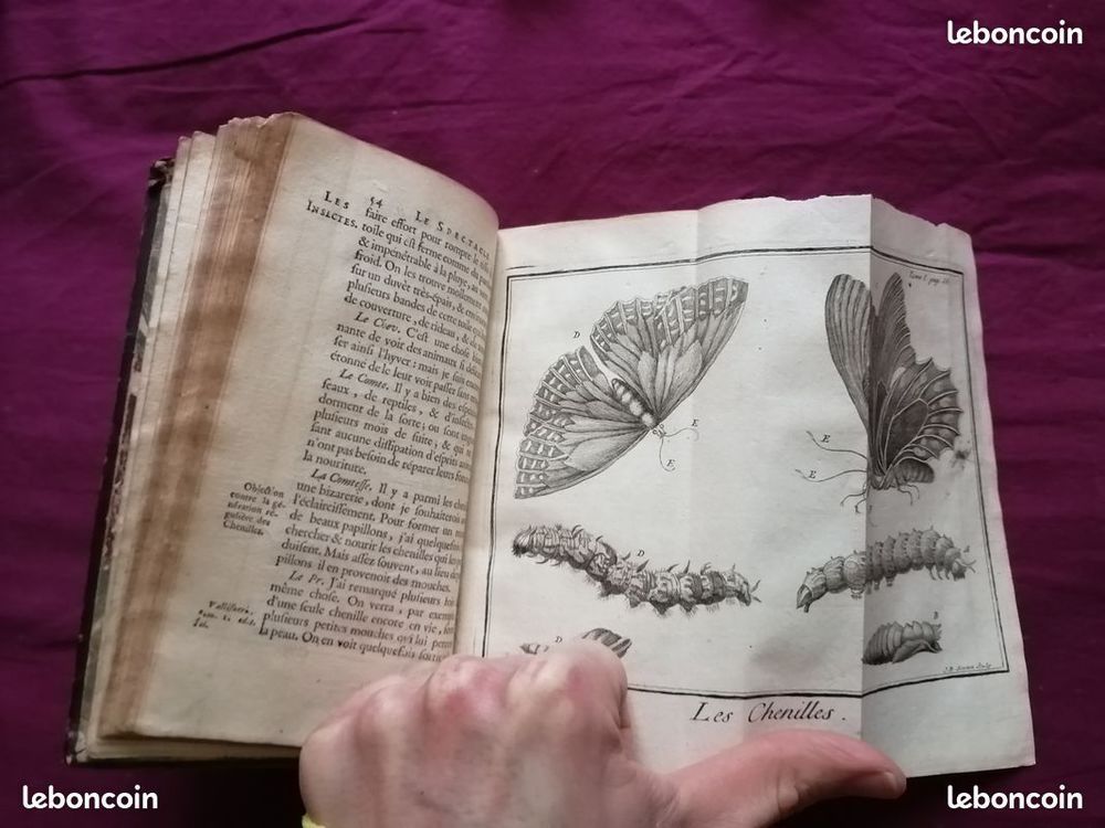 le spectacle de la nature entretien particularit&eacute;s naturelle Livres et BD