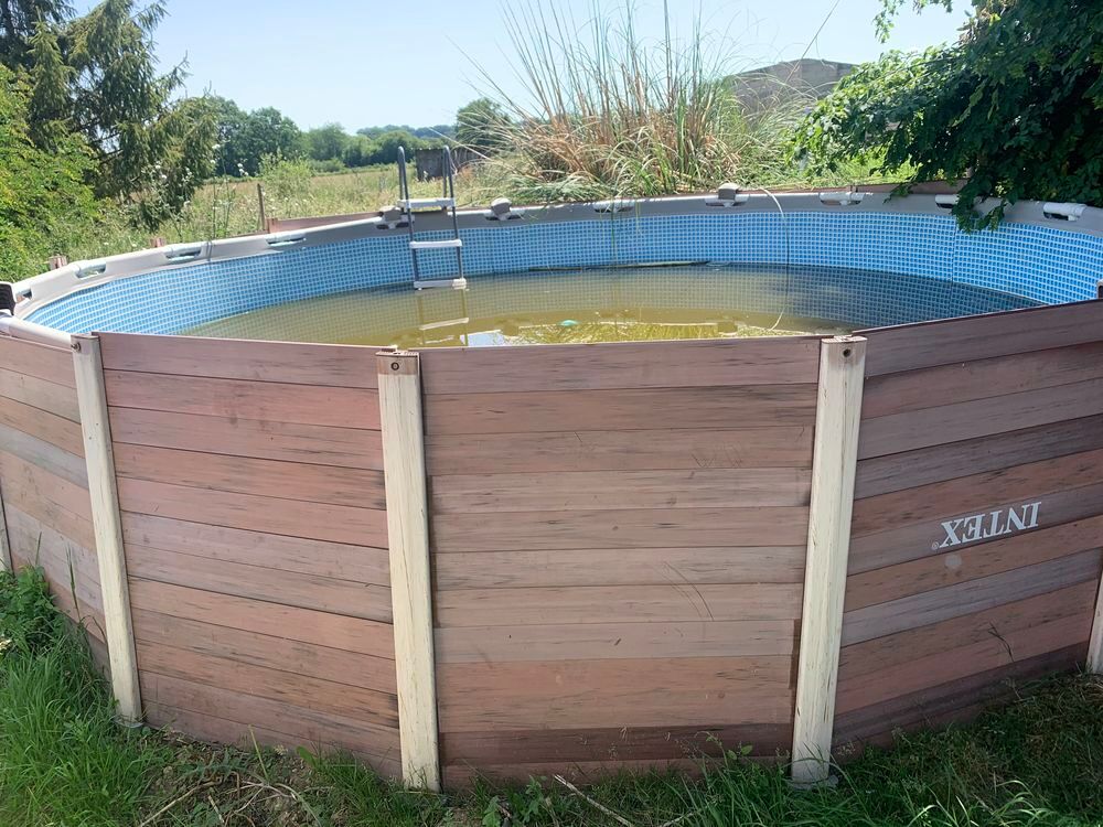 piscine Jardin