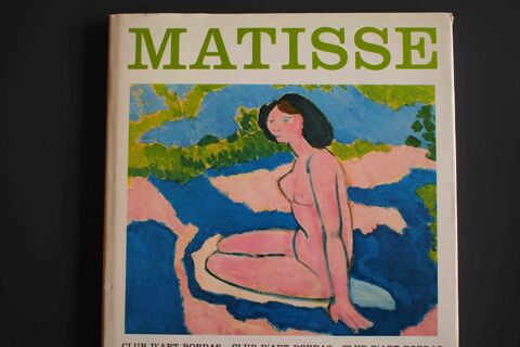 MATISSE - Jean Jacques Leveque 8 Rennes (35)