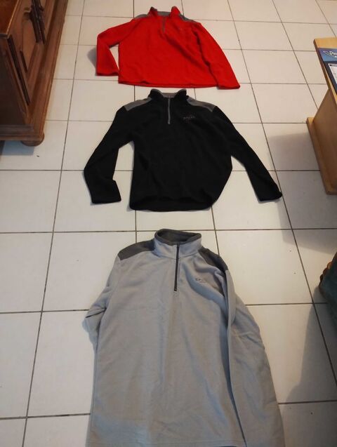 pull 15 Le Pin-la-Garenne (61)