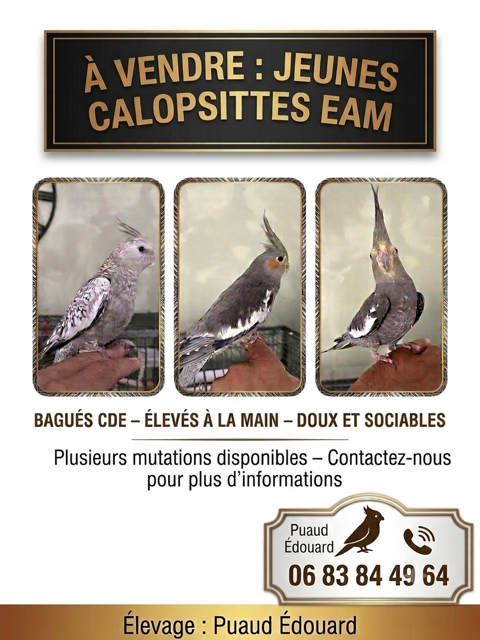 Calopsites eam 80 79320 Moncoutant