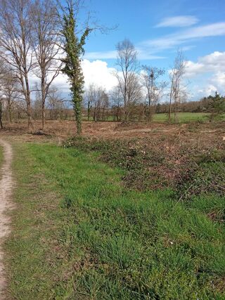  Terrain � vendre 4281 m� La vernelle