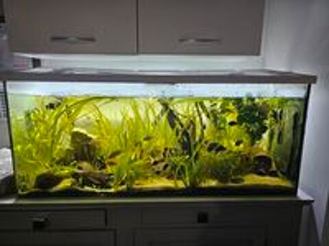   Aquarium 240L 1m20  