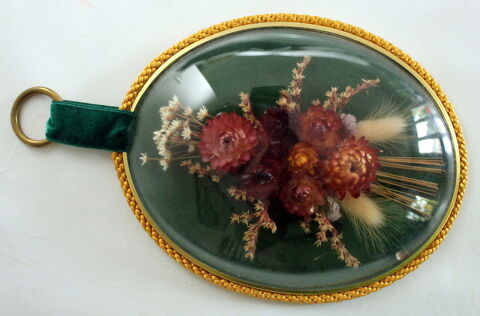 Cadre verre bomb� cabinet de curiosit�s
fleurs immortelles 25 Issy-les-Moulineaux (92)