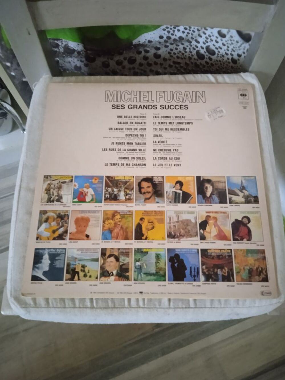 Vinyle Michel Fugain
Ses Grands Succ&egrave;s
1983 CD et vinyles