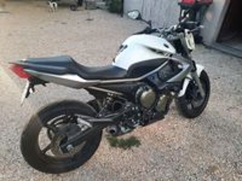 YAMAHA 2010 occasion 01110 Cormaranche-en-Bugey