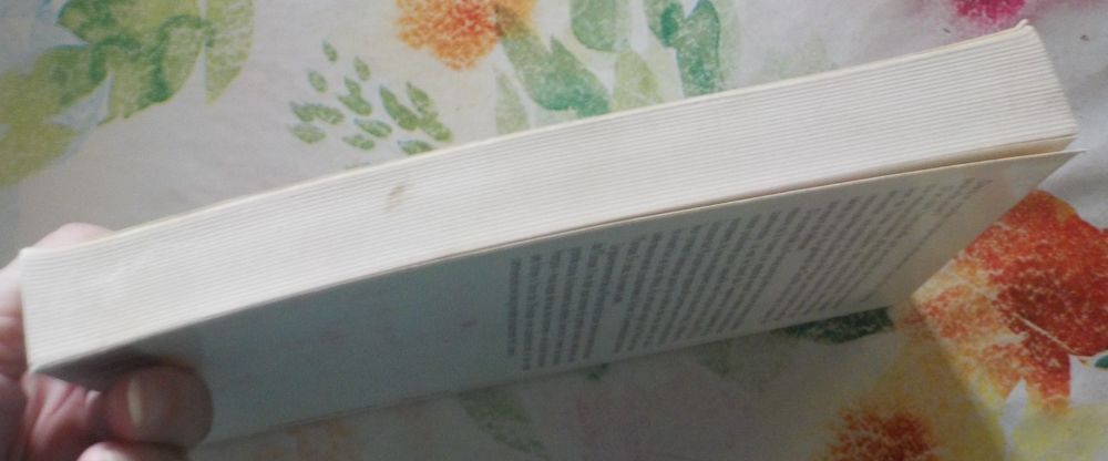 AU TOURNANT DU SIECLE par Raymond BARRE Livres et BD