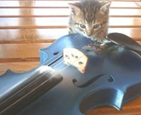   Cours de violon sans solfège  