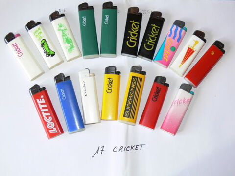 Briquets 10 Plougoumelen (56)