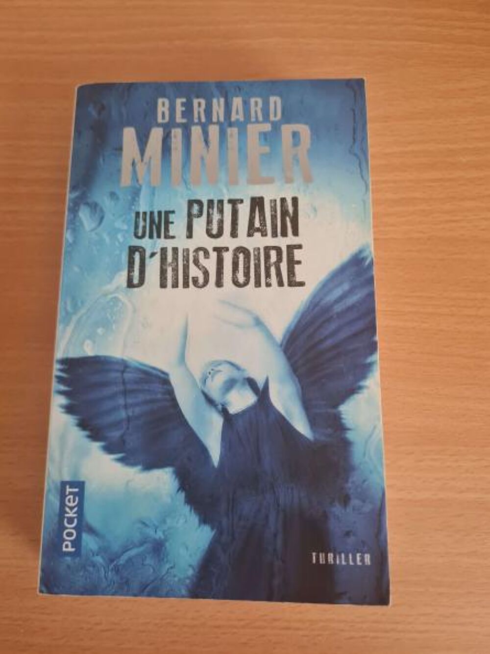Une putain d'histoire Livres et BD