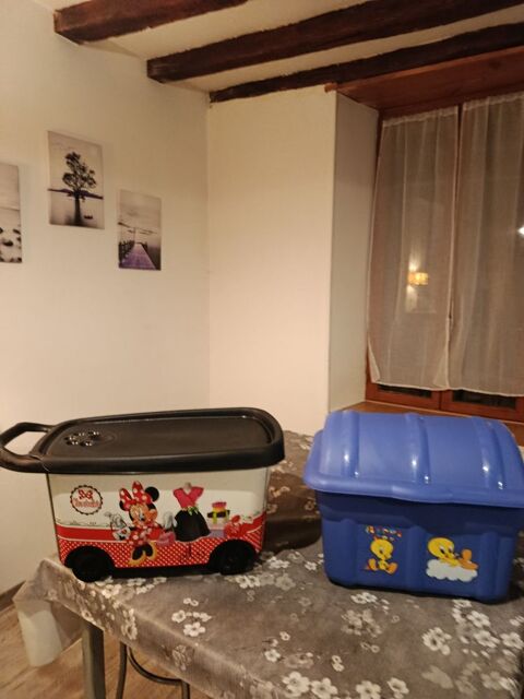 Caisse de rangement jouets  15 Aix-en-Othe (10)