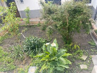  Maison � louer 3/4 pi�ces 82 m�