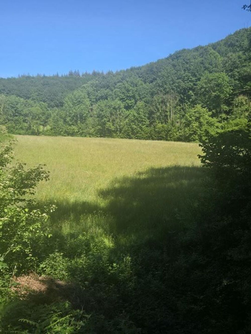 Vente Terrain Terrain - 14515m ² Paulinet