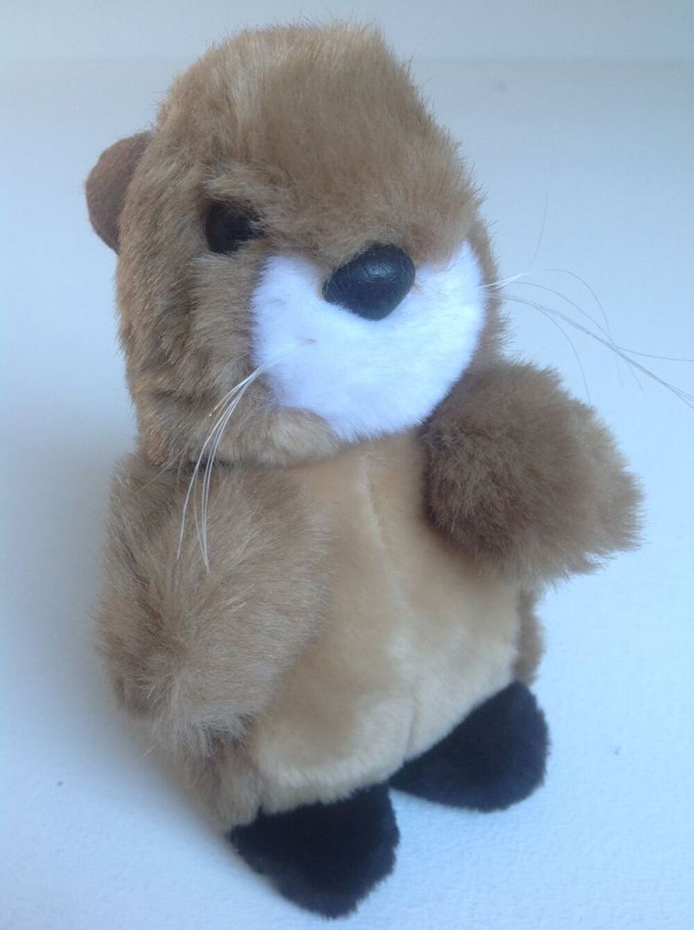 &Eacute;CUREUIL EN PELUCHE Envoi Possible
Jeux / jouets