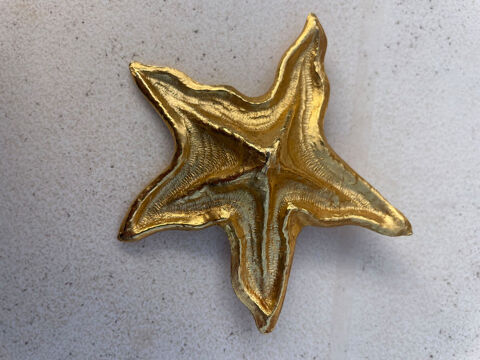 Broche dorée mat Etoile de mer ANTIGONA 75 Vigneux-sur-Seine (91)
