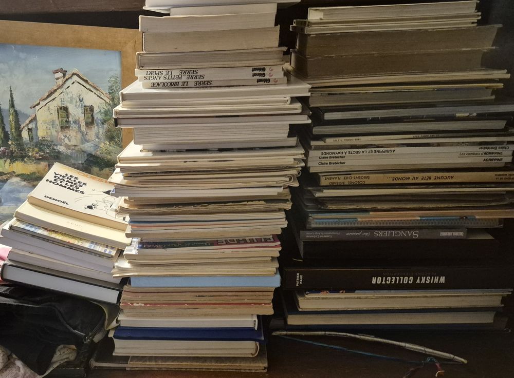BROCANTE , livres anciens et modernes Livres et BD