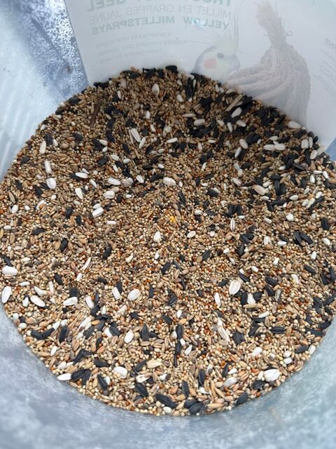 Graine pour bec crochus 2 93330 Neuilly-sur-marne